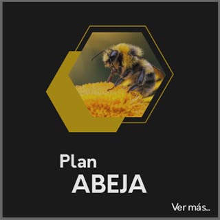 Plan Abeja - Tarjetas Digitales